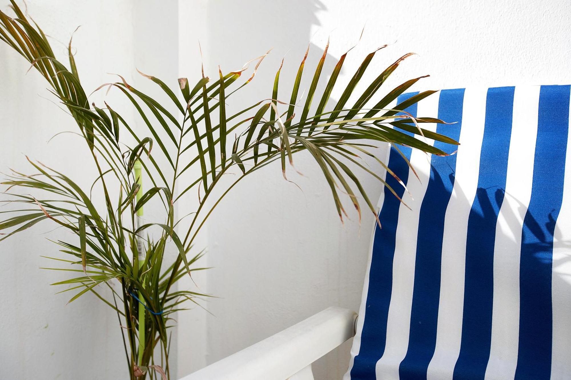 Apartmán La Caleta La Cala De Mijas Exteriér fotografie